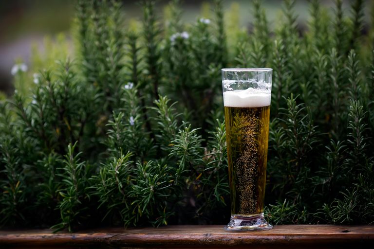 Acheter de la bière sans gluten ? - Free My Beer